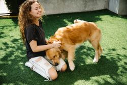 Cheerful young female with curly hair smiling and scratching neck of loyal Golden Retriever dog while kneeling on grass 