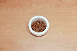 An overhead shot of dog food in a white bowl placed on a wooden floor, offering ample copy space.