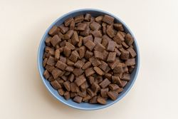 Aerial view of dry brown dog kibble in a pastel blue bowl against a beige backdrop, perfect for pet food advertisements.