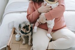 Crop unrecognizable mother with infant baby in arms sitting near bed and hairy Morkie dog in light bedroom at home