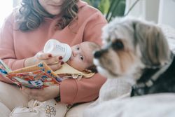 Crop anonymous caring mother with book feeding adorable infant baby with bottle near hairy Morkie dog in light room at h