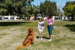 A woman and child play fetch with a golden retriever in a sunny park setting.