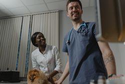 Veterinarians smile as they examine a Pomeranian dog in a medical office setting.