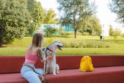 A woman pets her hat-wearing Siberian Husky on a sunny day in the park.