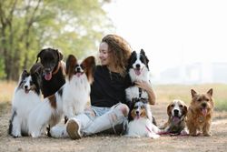 Full body of smiling female owner petting Labrador Retriever and embracing Border Collie sitting near Sheltie Beagle and