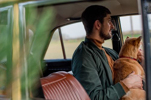 Reisen mit Hund: Auto, Zug und über die Grenze