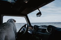 A dog looks out a car window at the ocean, enjoying a sunny day by the water.