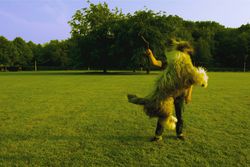 A playful bearded collie leaps into the air to catch a stick in a vibrant green field.