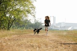 Full body happy young female in ripped jeans running with adorable black Border Collie dog along rural path in sunny nat