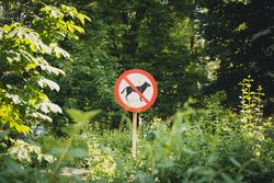 Sign prohibiting dogs surrounded by lush greenery in a sunny outdoor setting.