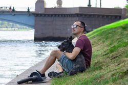 A man sitting by the river with his dog enjoying a peaceful summer day, with a bridge in the background.