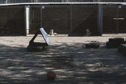 Dogs in kennel with play area featuring tires and a ball, outdoors.
