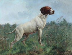 Ancien chien d'arrêt danois – Simon Simonsen Fanny. Parti med en pointer 1896