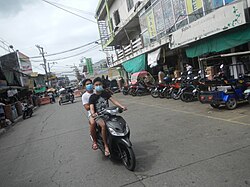 Belgischer Schäferhund Tervueren – 2648Baliuag, Bulacan 11