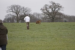 Bluthund – Bloodhound Trials Feb 2008 252