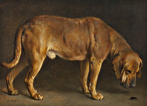 Broholmer – Otto Bache En broholmerhund ser på en eghjort 1871