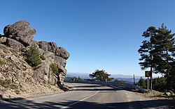Estrela-Berghund – Serra da Estrela (6814706865)
