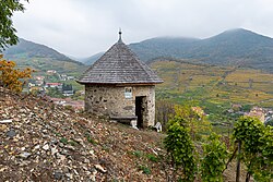 Grand Spitz allemand – Spitz Burgbergturm 3161
