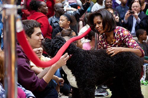 Cane da acqua portoghese – Michelle Obama and Bo greet audience members