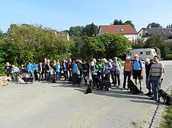 Berger des Pyrénées à poil long – Berger des Pyrénées Bild Herbstspaziergang
