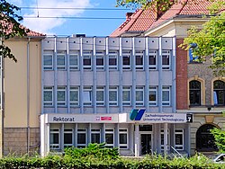 Zwergspitz (Pomeranian) – Rector's office of the West Pomeranian University of Technology in Szczecin, June 2022